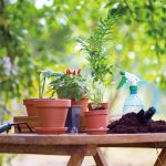 Beyond Manufacturing: How Our OEM/ODM Expertise Powers Global Garden Brands