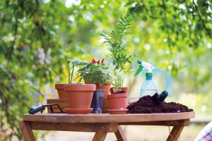 Beyond Manufacturing: How Our OEM/ODM Expertise Powers Global Garden Brands