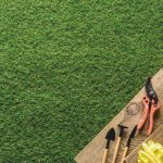 Our Story: Growing Global Gardens, One Quality Product at a Time