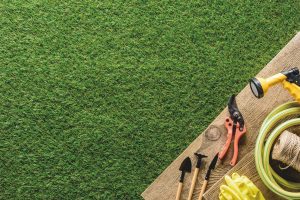 Our Story: Growing Global Gardens, One Quality Product at a Time